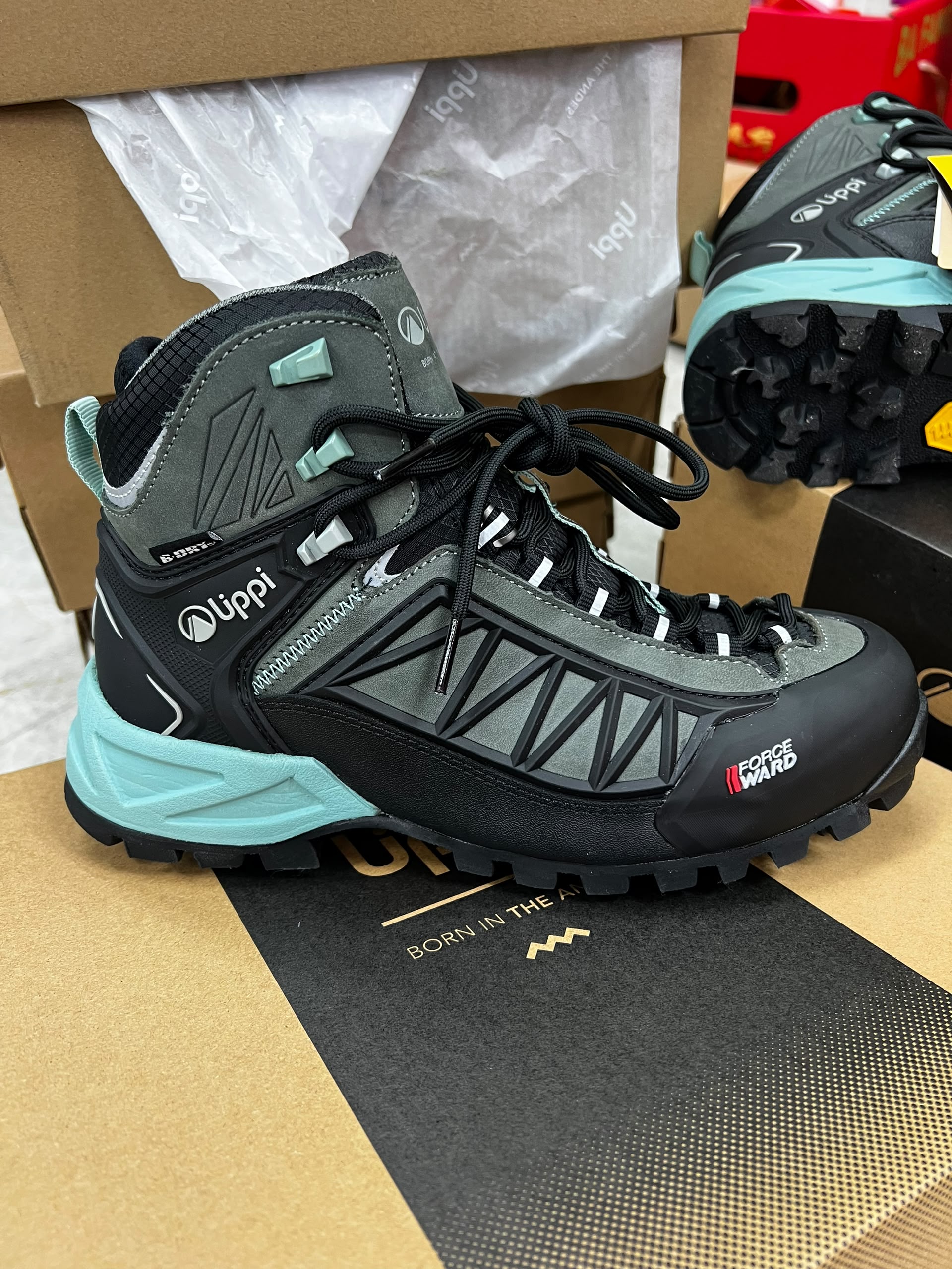 LIPPI Bravo Evo — Grey / Turquoise side profile