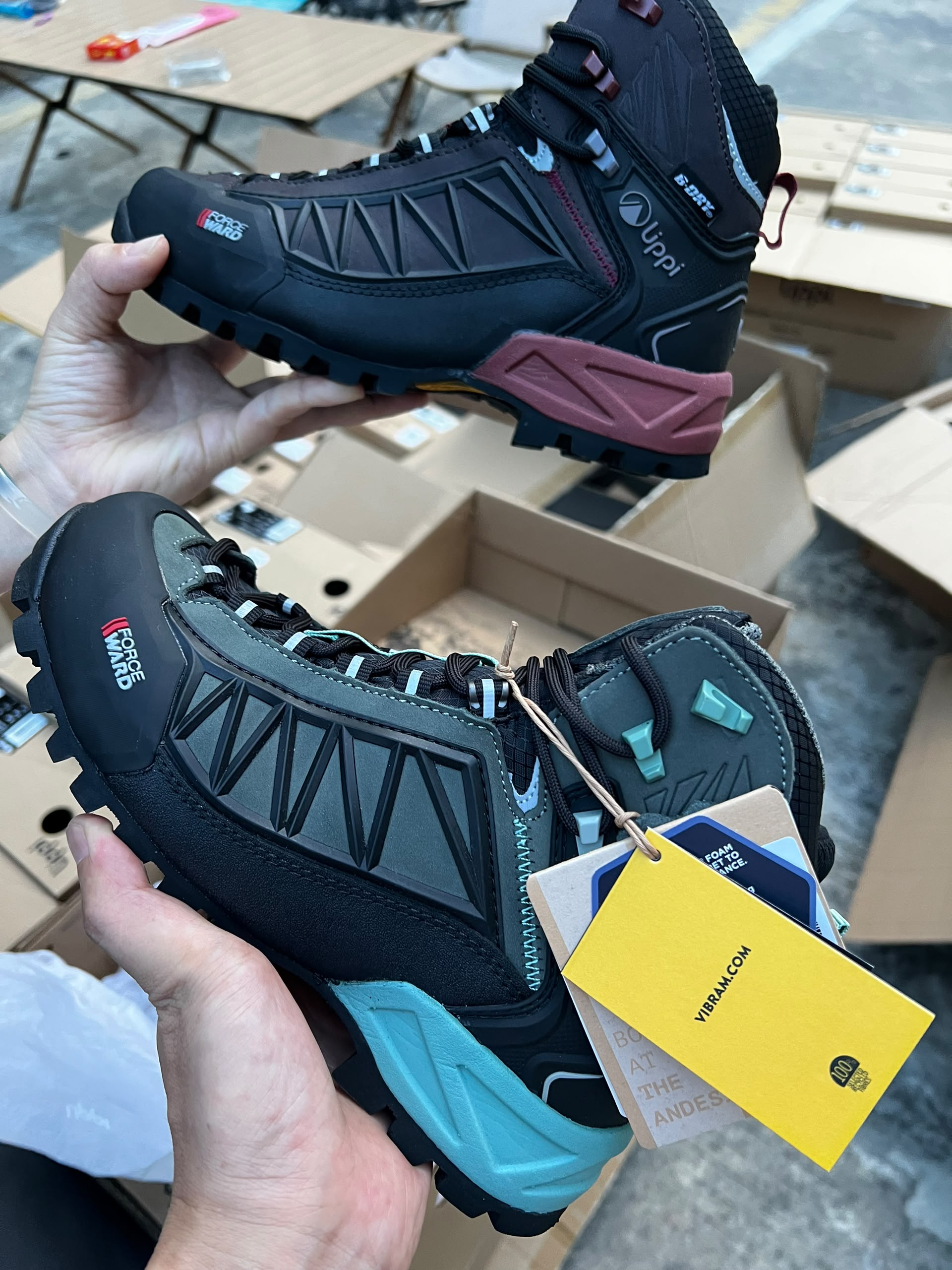 LIPPI Bravo Evo — Both colourways photographed together